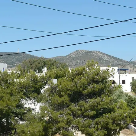 Apostolis Alikí